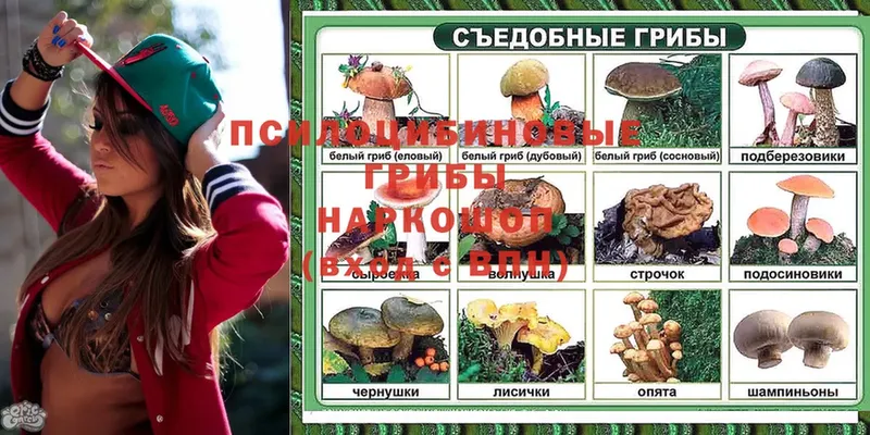 блэк спрут зеркало  Нурлат  Галлюциногенные грибы Magic Shrooms  купить наркоту 